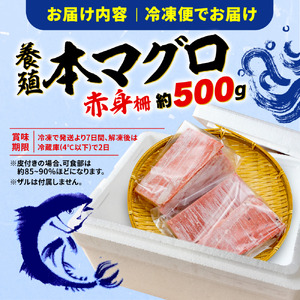 【オンライン決済限定】 【2024年年内発送】 訳あり 本まぐろ 赤身 約500g 不定型柵 本鮪 まぐろ 赤身 解凍 鮪 漬け マグロ ユッケ 海鮮 本マグロ