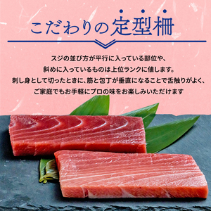 【オンライン決済限定】 【2024年年内配送】 本まぐろ 大とろ 中とろ 赤身 詰合せ 約300g 年内配送 本鮪 本マグロ 食べ比べ 大トロ 中トロ 赤身 解凍 鮪 漬け マグロ ユッケ 海鮮 ふるさと人気  