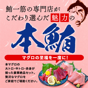 【オンライン決済限定】 【2024年年内配送】 本まぐろ 大とろ 中とろ 赤身 詰合せ 約300g 年内配送 本鮪 本マグロ 食べ比べ 大トロ 中トロ 赤身 解凍 鮪 漬け マグロ ユッケ 海鮮 ふるさと人気  