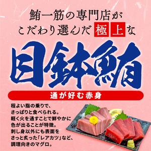 【オンライン決済限定】 【2024年年内配送】 訳あり まぐろ 目鉢まぐろ 赤身 約 1kg 年内配送 不定型柵 鮪 まぐろ 目鉢鮪 冷凍 鮪 漬け マグロ ユッケ 海鮮 メバチ マグロ