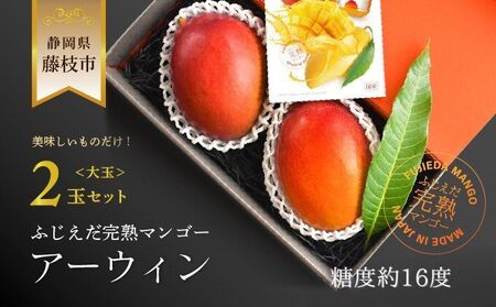 マンゴー 【2026 夏発送】 アーウィン 大玉2玉 【先行予約開始】 マンゴー マンゴー