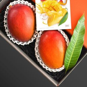 マンゴー 【2026 夏発送】 アーウィン 大玉2玉 【先行予約開始】 マンゴー マンゴー