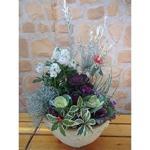 花 寄せ植え 葉牡丹 正月飾り オンライン決済限定 花 花