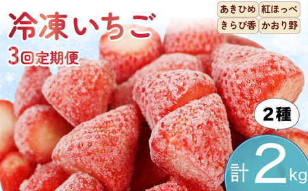 いちご 冷凍 3ヶ月 定期便 計2kg