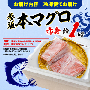 本マグロ赤身 約1kg 【まぐろ】