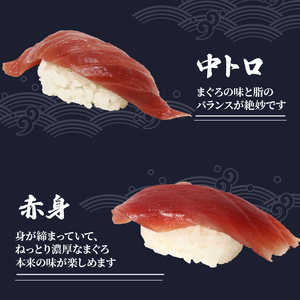 寿司 マグロ まぐろ 握り 20貫 中トロ 赤身 酢飯 シャリ ご飯 加納商店
