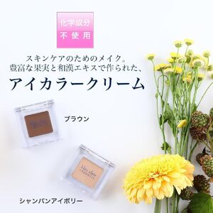 オーガニック アイカラー クリーム <シャンパンアイボリー> 化粧品 コスメ 化粧 スキンケア アイライン クリーム オーガニック 美容 ブルークレールオーガニクス 静岡県 藤枝市