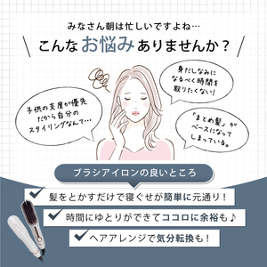 【美容家電】 ヘアアイロン ミニブラシ型  B-50J 美容家電