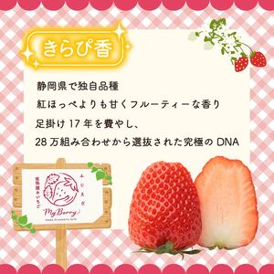 【先行予約 : 2026年1月～発送予定】 【全3回定期便】 いちご きらぴ香 約1kg 約250g×4パック （1月、2月、3月発送） 朝どれ 完熟 苺 産地 直送 フレッシュ イチゴ 贈答 フルーツ 果物 国産 静岡県 藤枝市 ふるさと人気 ふるさとおすすめ