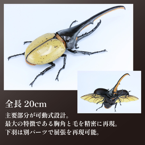 模型 昆虫 自由研究シリーズセット ヘラクレスオオカブト カブトムシ 2セット