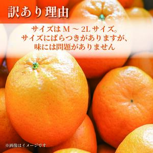 【先行予約:2026年1月下旬より発送】 訳あり みかん 5kg M〜2L ポンカン みかん
