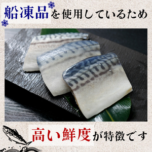 漬け魚 鯖 8枚 漬け