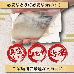 漬け魚 鯖 8枚 漬け