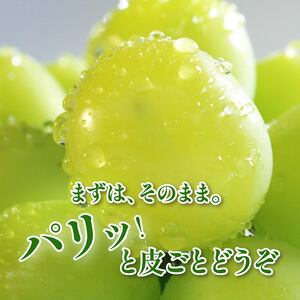 シャインマスカット 2房 約1kg 【シャインマスカット】