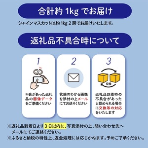 シャインマスカット 2房 約1kg 【シャインマスカット】