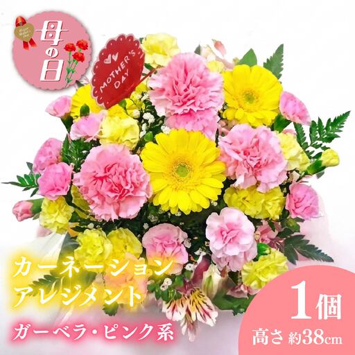 【先行予約】 母の日に！ 生花アレンジメントＢピンク系 2026年5月から順次発送 オンライン決済限定 花 花