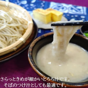 とろろ 冷凍 125g × 8個 自然薯 100% 小分け セット とろろ汁 長芋 山芋 静岡県 藤枝市