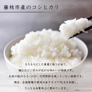 【10月中旬頃発送】 新米 コシヒカリ 10kg 米