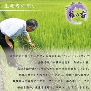 【10月中旬頃発送】 新米 コシヒカリ 10kg 米