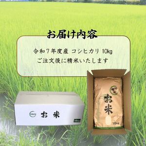 【10月中旬頃発送】 新米 コシヒカリ 10kg 米