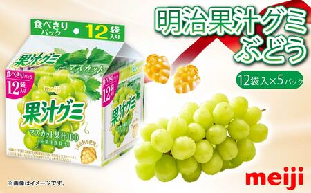 明治 果汁グミ スマートパック マスカット 163ｇ× 5個 | グミ