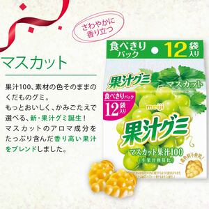 明治 果汁グミ スマートパック ぶどう ＆ マスカット 163ｇ× 各5個 | グミ