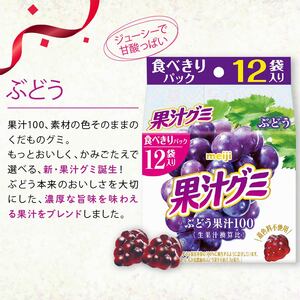 明治 果汁グミ スマートパック ぶどう 163ｇ× 15個 | グミ