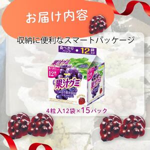 明治 果汁グミ スマートパック ぶどう 163ｇ× 15個 | グミ