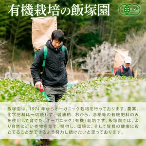 アールグレイ 茶葉 オーガニック 和紅茶 35g×5袋 アールグレイ