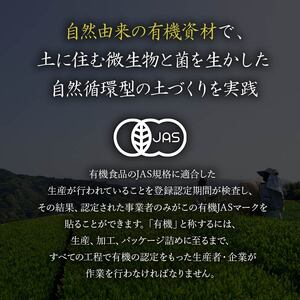 有機紅茶 ティーバッグ (2.5g×10包) 3袋セット