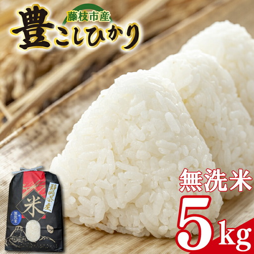 【令和７年産】豊こしひか 無洗米 5kg お米 米 静岡県 藤枝市