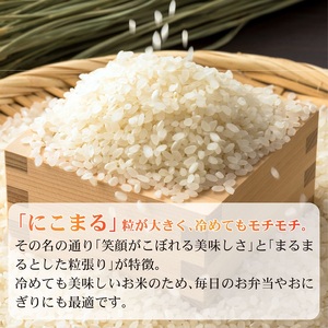 新米 5kg 新米 にこまる