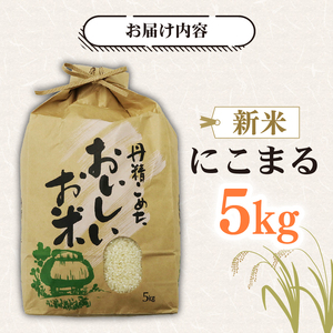 新米 5kg 新米 にこまる