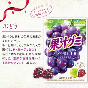 明治 果汁グミ ぶどう 10個 グミ