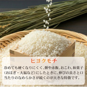 もち米 2kg ヒヨクモチ もち米