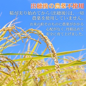 もち米 5kg ヒヨクモチ もち米