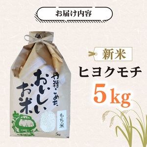 もち米 5kg ヒヨクモチ もち米