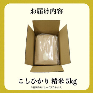 米 こしひかり 5kg 農家直送 特別栽培米 