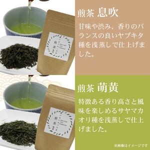 お茶 4種 茶葉 煎茶 静岡茶 お茶 お茶