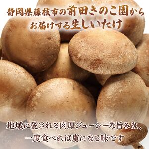 しいたけ 約1kg  椎茸 生しいたけ