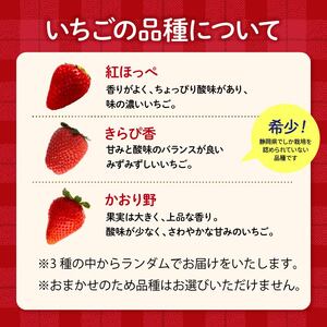 2025年11月より順次発送 いちご 1kg 以上 おまかせ いちご