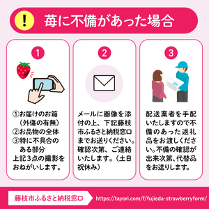 【先行予約 2025年1月より順次発送予定】 いちご 2種 2kg 以上 苺 旬 産地 直送 フレッシュ イチゴ 紅ほっぺ 章姫 きらぴ香 かおりの フルーツ 果物 国産 ジャパン ベリー 予定 静岡県 藤枝市