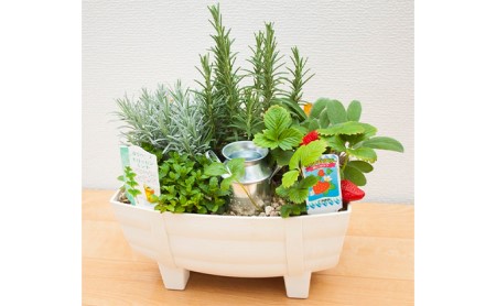 母の日に 季節のおまかせハーブ寄せ植え8号船型プランター 静岡県藤枝市 ふるさと納税サイト ふるなび