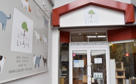 猫 カフェ 利用優待券 チケット 1時間分 × 3枚  |    