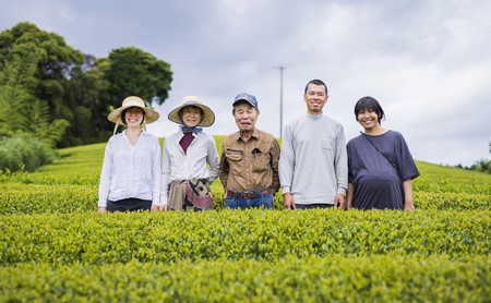 お茶 ティー バッグ 5種 詰合せ ブレンド 国産 有機 茶葉 日本茶 紅茶 パック 詰め合わせ ほうじ茶 バジル ハイビスカス ジャスミン ラベンダー セット まとめ買い 飲み比べ カテキン 健康 ハーブ 静岡県 藤枝市