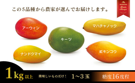 マンゴー 【 先行予約 : 2026年6月頃より順次発送 】 完熟マンゴー 1kg