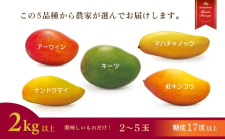 【2024年6月～7月発送】マンゴー 完熟 2kg 糖度 17 以上 (厳選 フルーツ 果物 国産マンゴー 静岡マンゴー 完熟マンゴー マンゴーフルーツ トロピカルフルーツ フルーツ 果物類 果物類 マンゴー果物類)