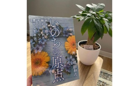観葉植物鉢植えとamazonベストセラー 著作本「いのちの原点」のセット（読者特典動画視聴サービス付） |    