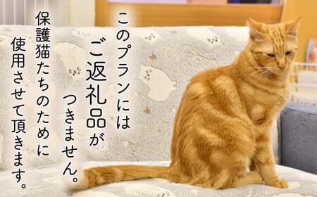 猫 支援寄附 返礼品なし 保護猫支援