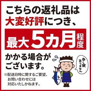 訳あり 本まぐろ 赤身 約500g 本まぐろ  